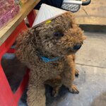 Photo taken by Lisa M