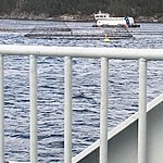 Fish farming | Photo taken by Valerie M