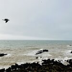 Photo taken by Victoria L