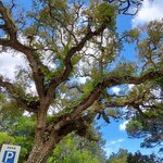 Photo taken by Mike T