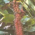 Photo taken by Bonnie Y