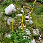 Photo taken by Kim R