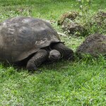 Photo taken by Vinay K