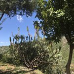 Photo taken by Victoria P