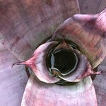 Photo taken by Anna L