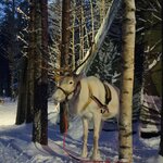 Photo taken by Jennie H