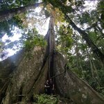 Photo taken by Nicole S