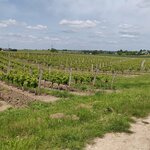 Photo taken by Beatrice G