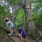 Photo taken by Jason C