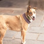 Photo taken by Savana H