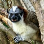 Photo taken by Peter F