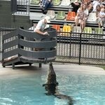 Photo taken by Gina L