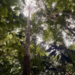 Photo taken by Nathalie B