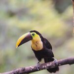 Photo taken by Jayme B