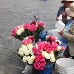 Photo taken by Steven M