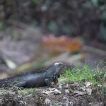 Photo taken by Joyce C