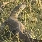 Photo taken by Paul B