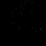 Photo taken by Sharon C