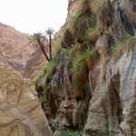 Photo taken by fern k