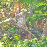 Photo taken by Kiko S