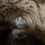 Photo taken by Thomas R