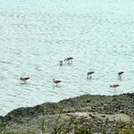 Photo taken by sam s