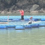 Photo taken by sandi l