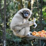 Photo taken by William R