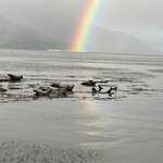 Photo taken by David L