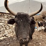 Photo taken by Willow K