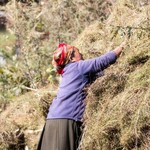 Junbesi | Photo taken by Patrick J