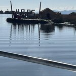 Photo taken by Shanthi V