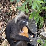 Photo taken by Dennis N