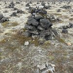 Photo taken by Sue M