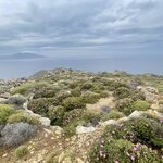 Photo taken by Shanna H