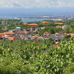 Photo taken by Nancy P