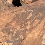 Photo taken by Nigel R