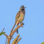 Photo taken by Graham D