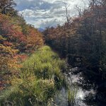 Photo taken by SUSAN L