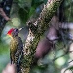 Photo taken by Graham D