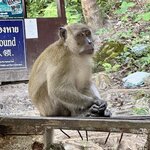 Photo taken by Jill M