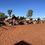 Photo taken by Kelsey D