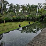 Photo taken by Nancy P