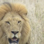 Photo taken by Kristin M