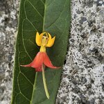 Photo taken by Touraj K