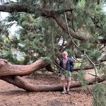 Photo taken by Lisa S