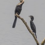 Photo taken by Graham D