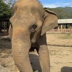 Photo taken by Megan H