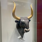 Photo taken by Elizabeth S