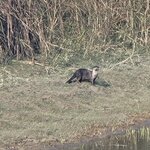 Photo taken by Cayden S